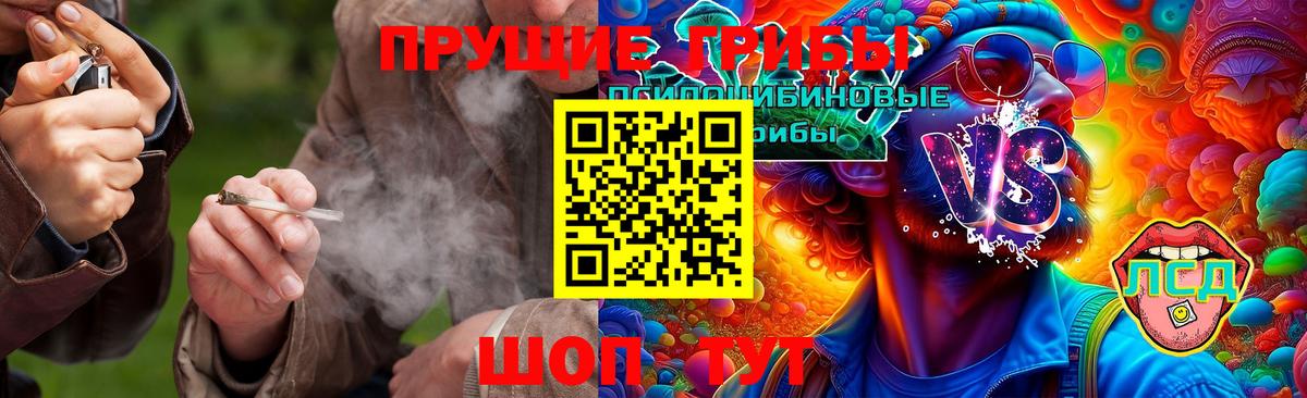 Галлюциногенные грибы Psilocybe  Псилоцибиновые грибы Magic Shrooms  Орск  Вход с VPN 