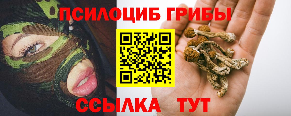 Псилоцибиновые грибы Psilocybe Орск